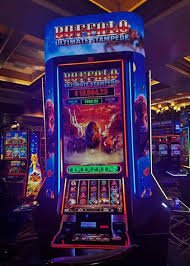probo in Arcade